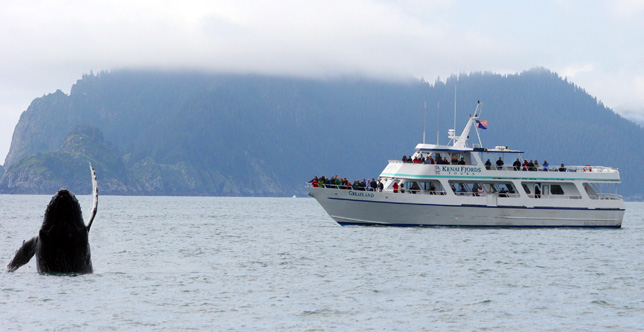 Kenai Fjords National Park cruiise from Seward.